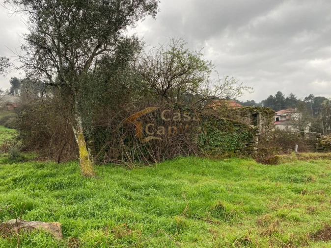 Moradia T3 para Venda em Mouçós e Lamares Foto 15