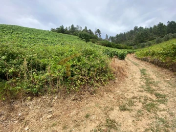 Quinta para Venda em Nogueira e Ermida