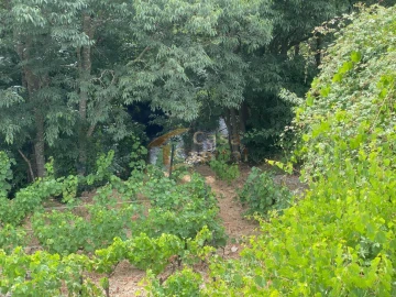 Quinta para Venda em Nogueira e Ermida