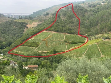 Quinta para Venda em Nogueira e Ermida