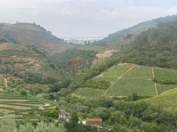 Quinta para Venda em Nogueira e Ermida