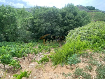 Quinta para Venda em Nogueira e Ermida