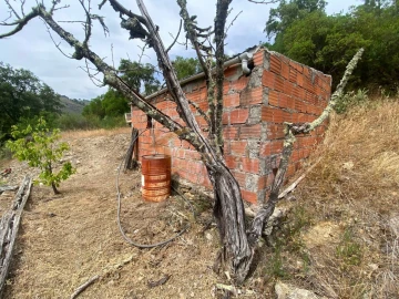 Quinta para Venda em Nogueira e Ermida
