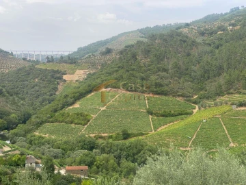 Quinta para Venda em Nogueira e Ermida