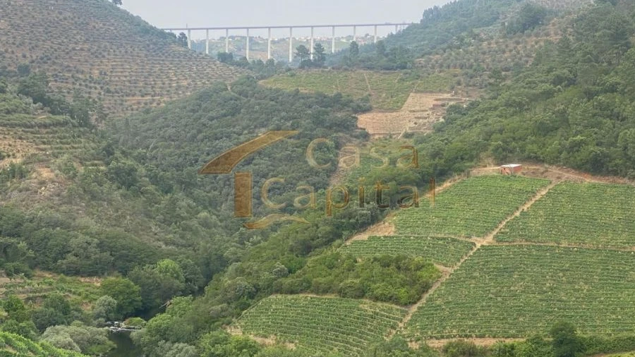 Quinta T0 para Venda em Nogueira e Ermida