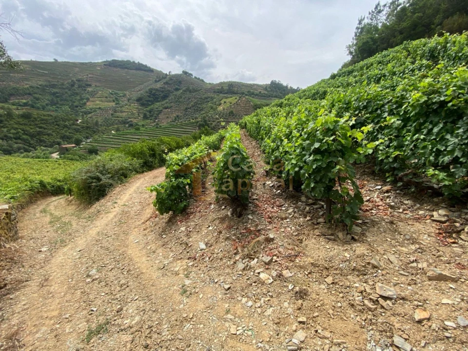 Quinta para Venda em Nogueira e Ermida Foto 23