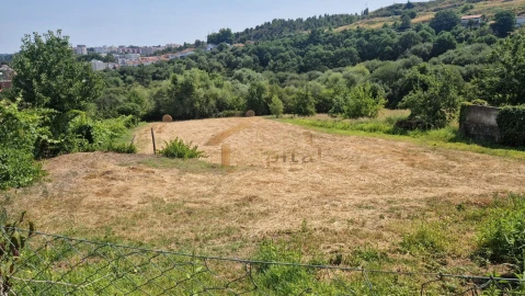 Terreno para Venda em Parada de Cunhos