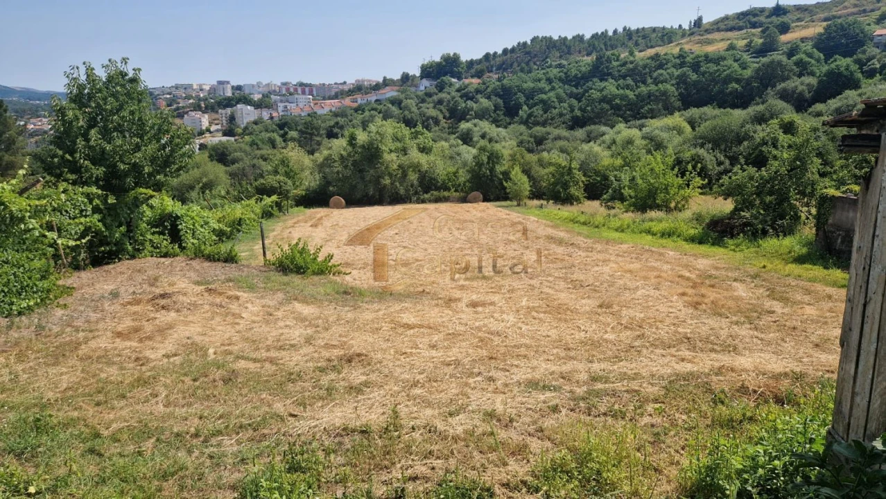 Terreno para Venda em Parada de Cunhos Foto 4
