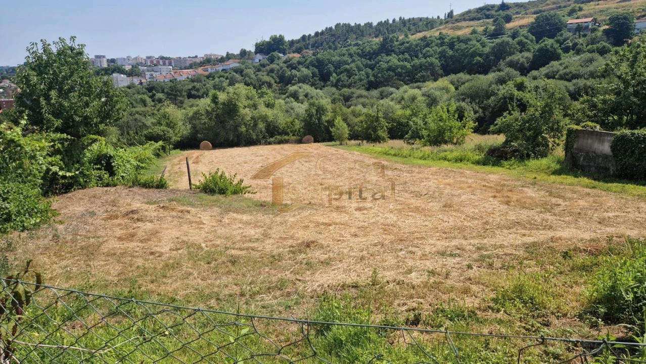 Terreno para Venda em Parada de Cunhos Foto 5