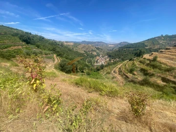 Quinta T0 para Venda em Lobrigos (São Miguel e São João Baptista) e Sanhoane