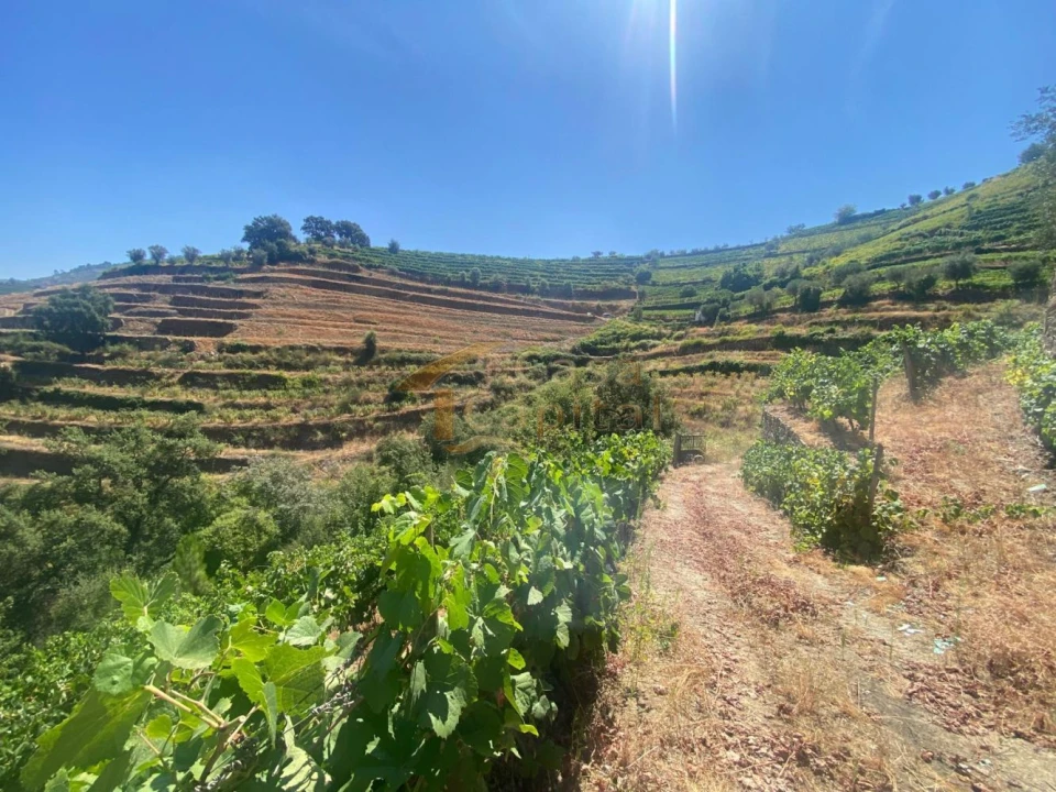 Quinta T0 para Venda em Lobrigos (São Miguel e São João Baptista) e Sanhoane Foto 10