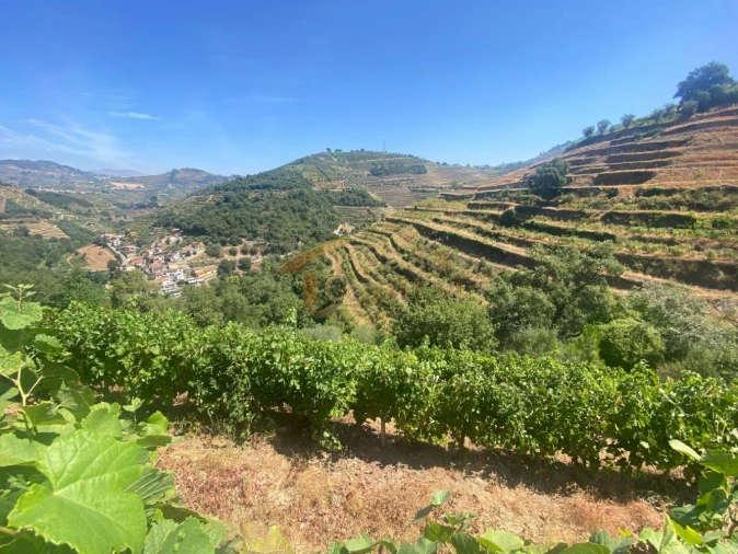 Quinta T0 para Venda em Lobrigos (São Miguel e São João Baptista) e Sanhoane Foto 9