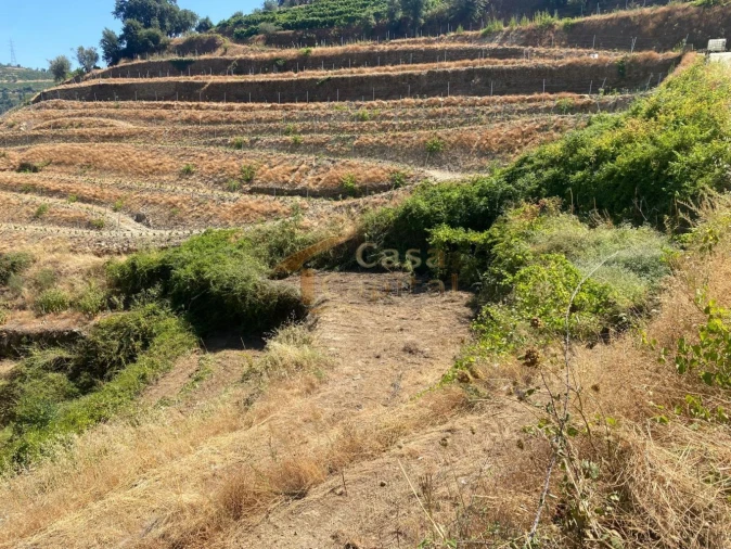 Quinta T0 para Venda em Lobrigos (São Miguel e São João Baptista) e Sanhoane Foto 8