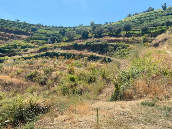 Quinta T0 para Venda em Lobrigos (São Miguel e São João Baptista) e Sanhoane Foto 13
