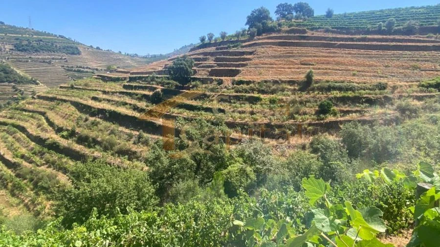 Quinta T0 para Venda em Lobrigos (São Miguel e São João Baptista) e Sanhoane