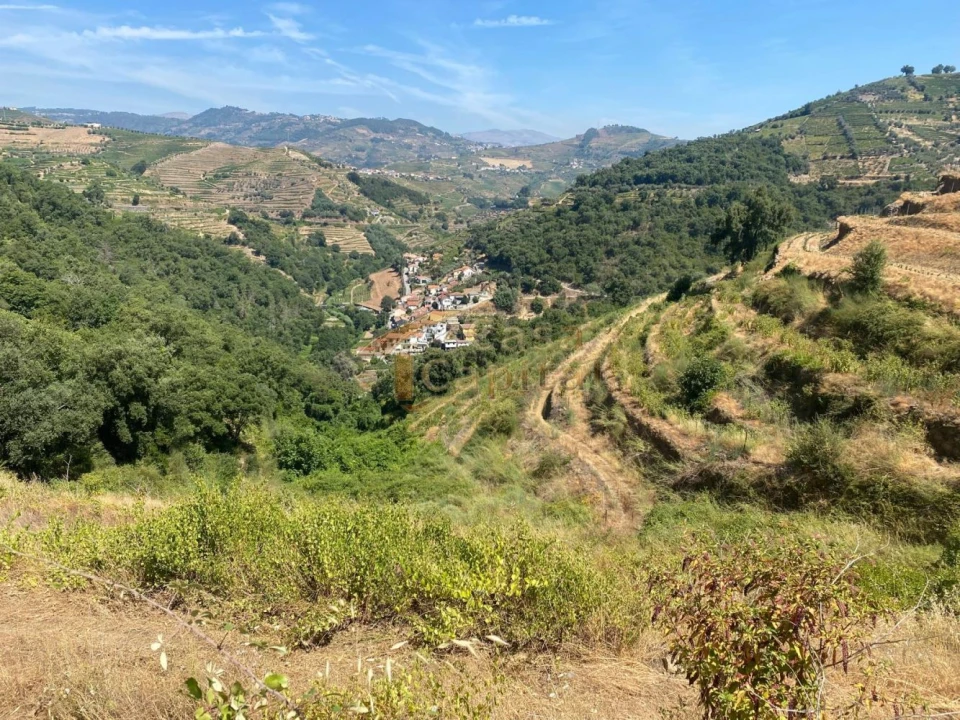 Quinta T0 para Venda em Lobrigos (São Miguel e São João Baptista) e Sanhoane Foto 5