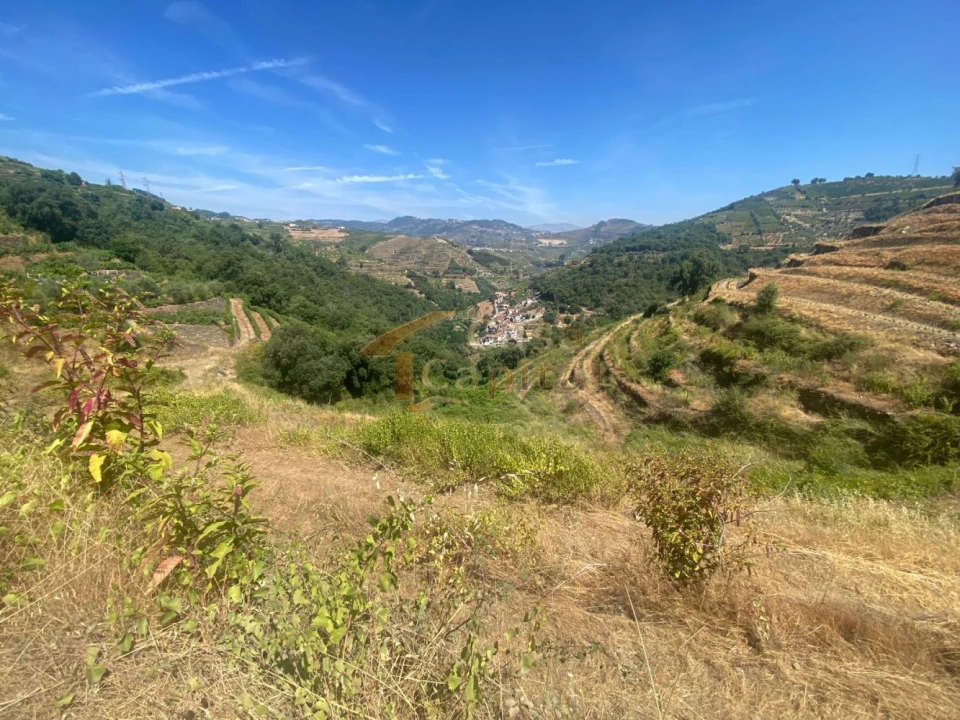 Quinta T0 para Venda em Lobrigos (São Miguel e São João Baptista) e Sanhoane Foto 4