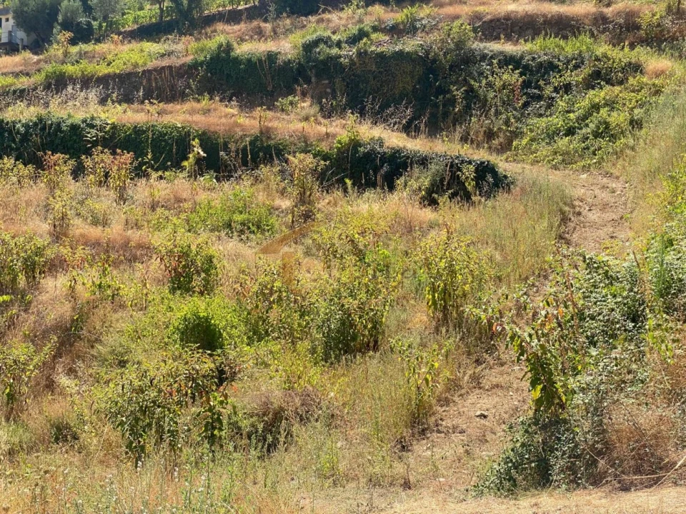 Quinta T0 para Venda em Lobrigos (São Miguel e São João Baptista) e Sanhoane Foto 11