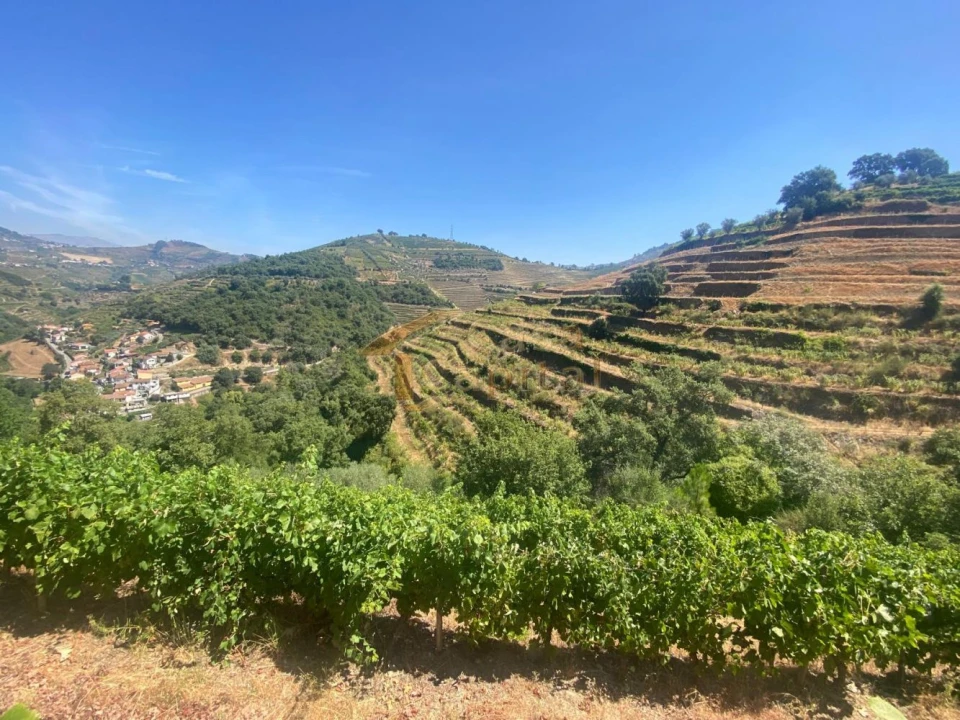 Quinta T0 para Venda em Lobrigos (São Miguel e São João Baptista) e Sanhoane Foto 2