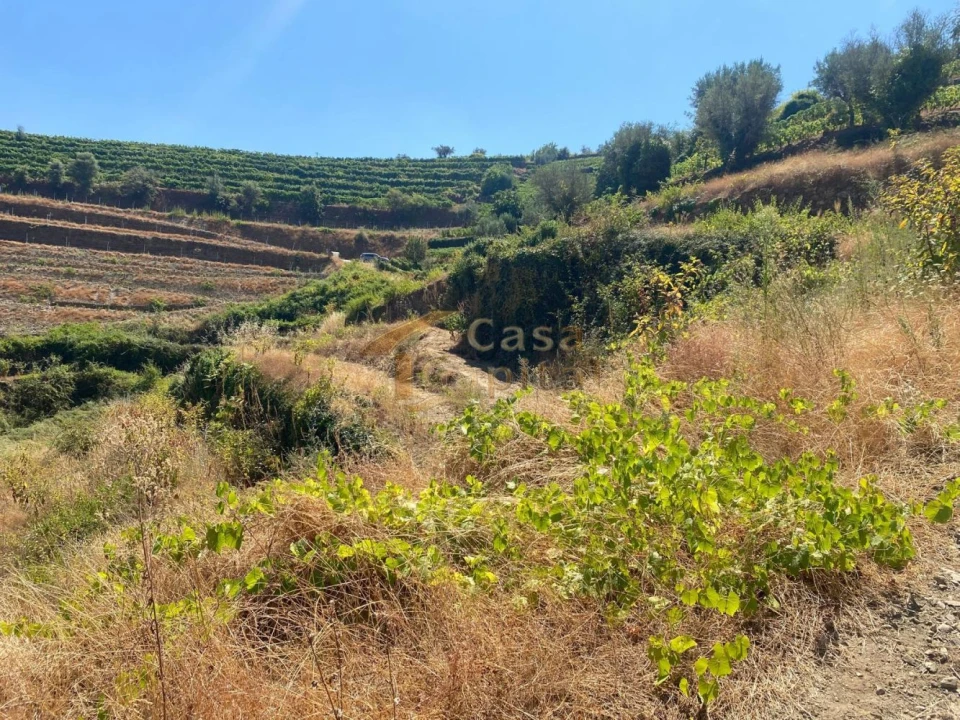 Quinta T0 para Venda em Lobrigos (São Miguel e São João Baptista) e Sanhoane Foto 14