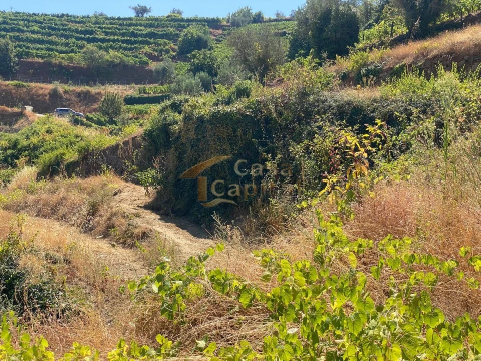Quinta T0 para Venda em Lobrigos (São Miguel e São João Baptista) e Sanhoane Foto 15