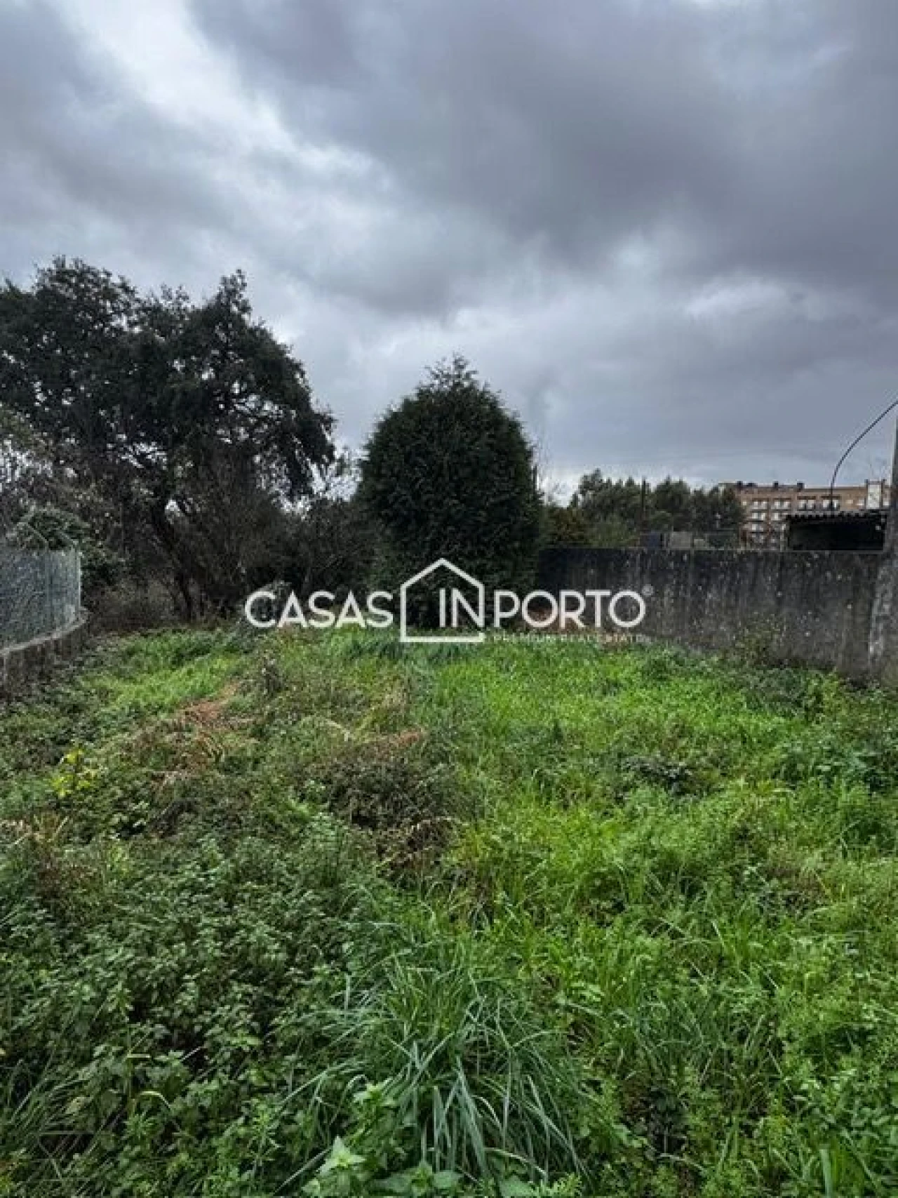 Loja para Venda em Paranhos Foto 2