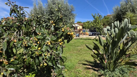 Moradia T3 para Venda em Serra e Junceira