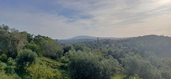Moradia T3 para Venda em Madalena e Beselga