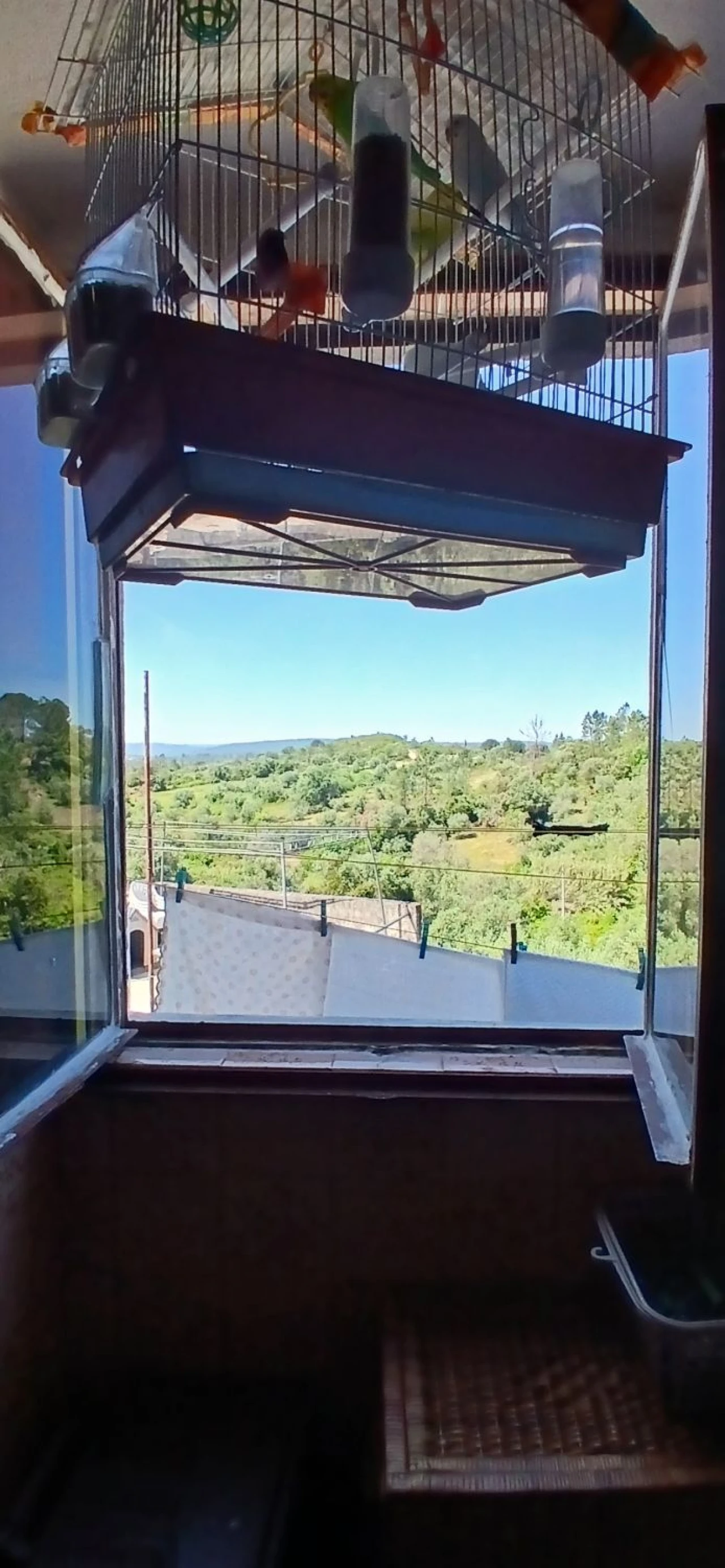 Moradia T3 para Venda em Madalena e Beselga Foto 28