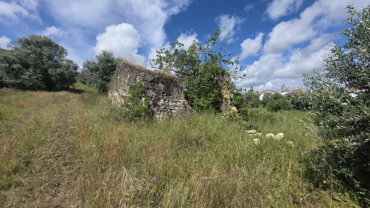 Terreno para Venda em Madalena e Beselga Foto 10