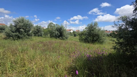 Terreno para Venda em Madalena e Beselga
