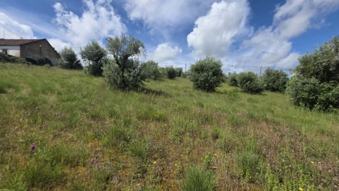 Terreno para Venda em Madalena e Beselga