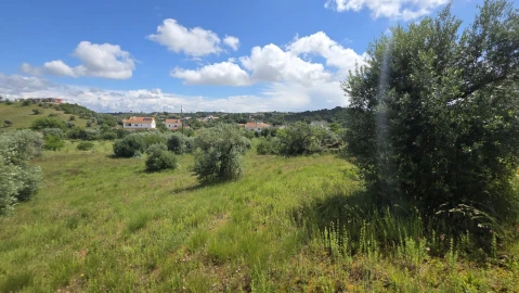 Terreno para Venda em Madalena e Beselga