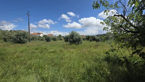 Terreno para Venda em Madalena e Beselga