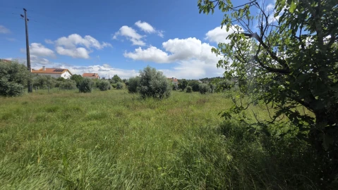 Terreno para Venda em Madalena e Beselga