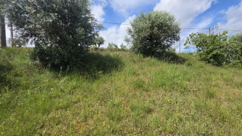 Terreno para Venda em Madalena e Beselga