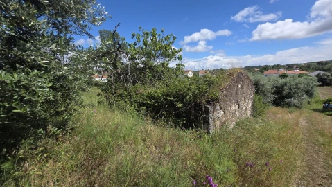 Terreno para Venda em Madalena e Beselga