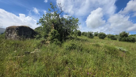Terreno para Venda em Madalena e Beselga