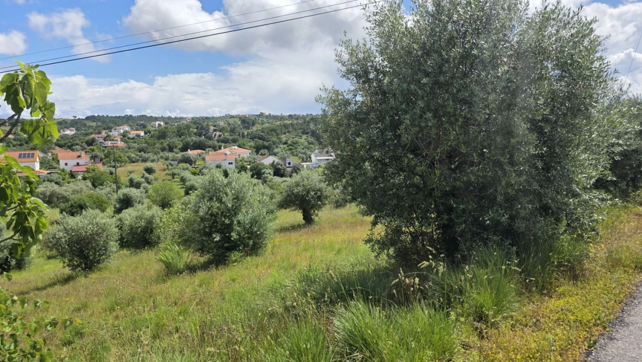 Terreno para Venda em Madalena e Beselga Foto 1
