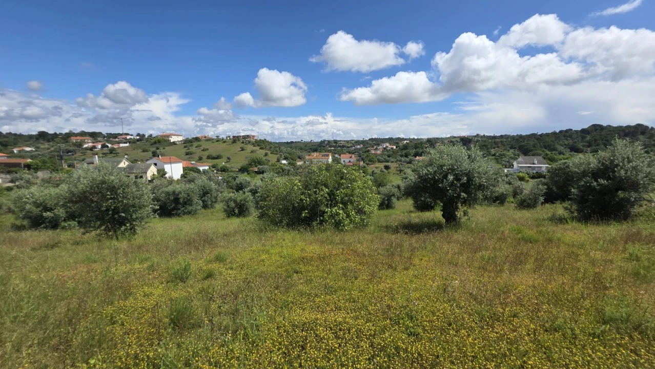 Terreno para Venda em Madalena e Beselga Foto 29