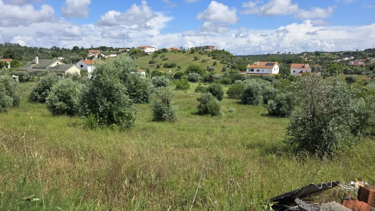 Terreno para Venda em Madalena e Beselga Foto 5