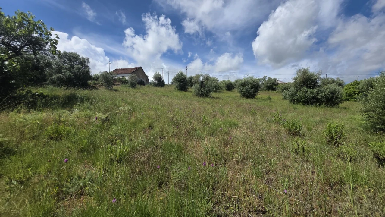Terreno para Venda em Madalena e Beselga Foto 19