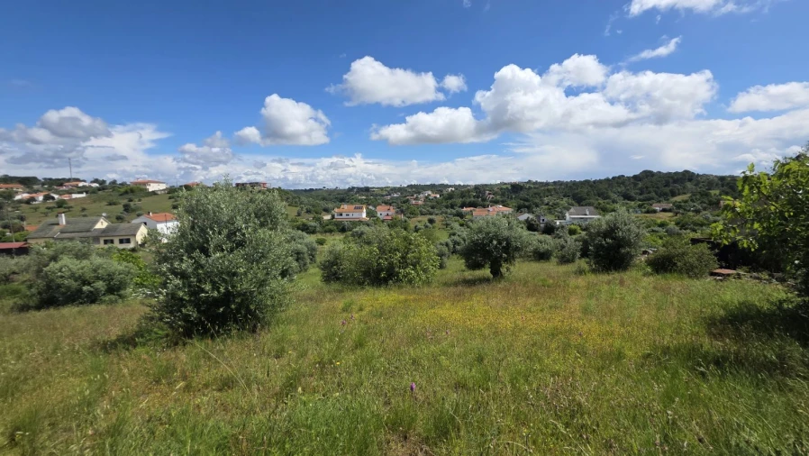 Terreno para Venda em Madalena e Beselga Foto 30
