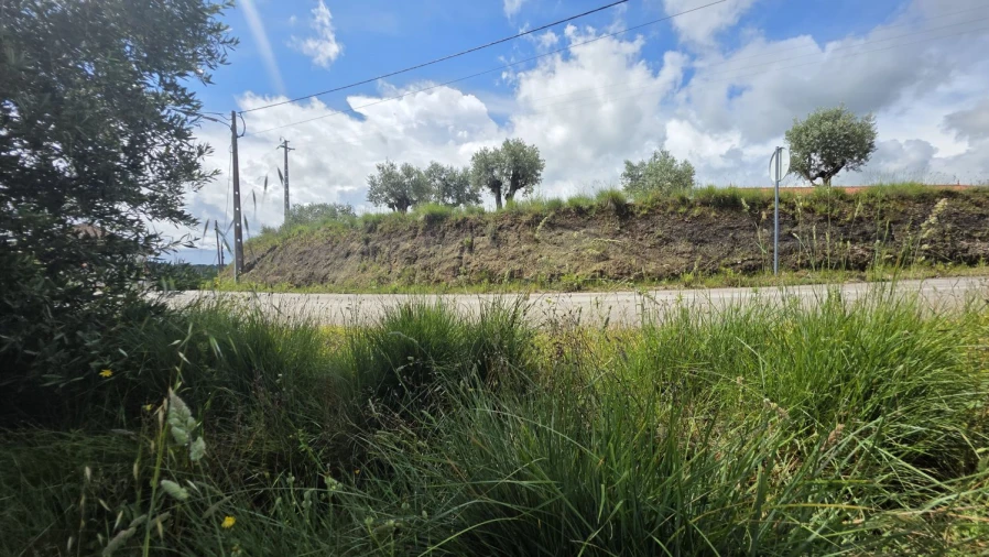 Terreno para Venda em Madalena e Beselga Foto 35