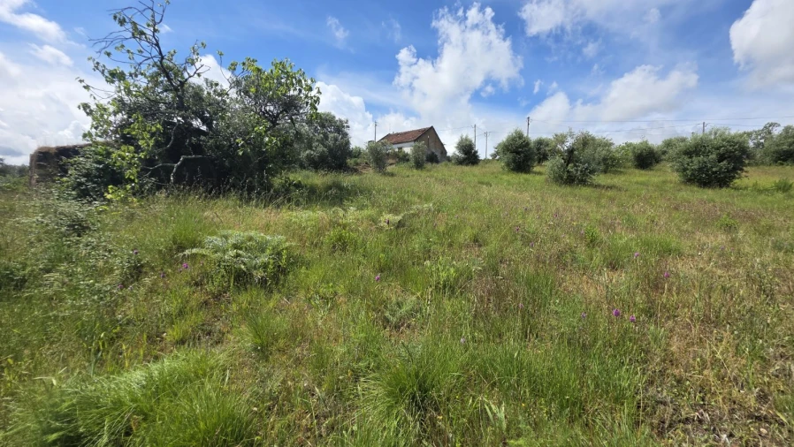 Terreno para Venda em Madalena e Beselga Foto 20