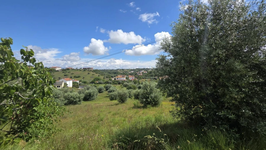 Terreno para Venda em Madalena e Beselga Foto 34