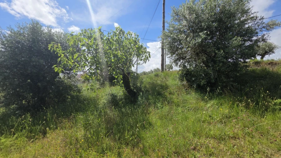 Terreno para Venda em Madalena e Beselga Foto 28