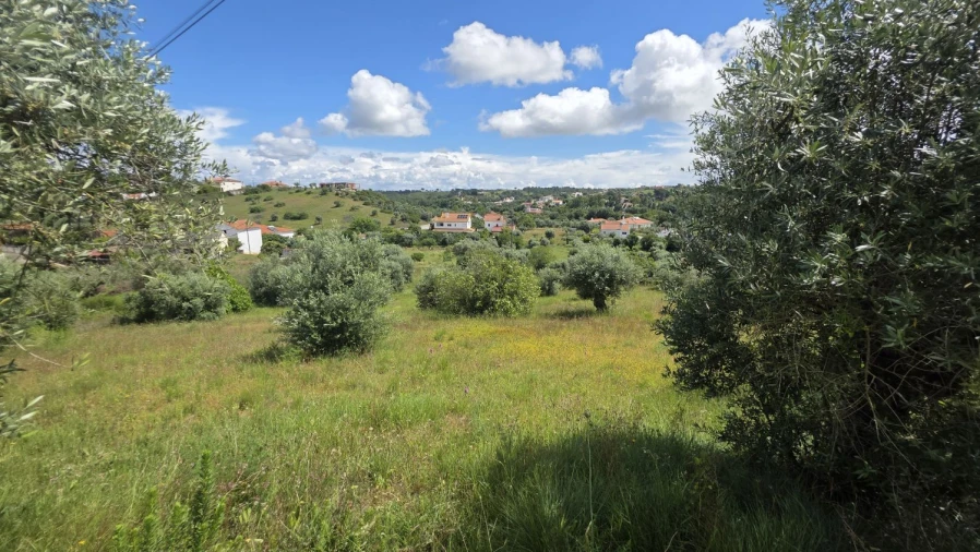 Terreno para Venda em Madalena e Beselga Foto 31