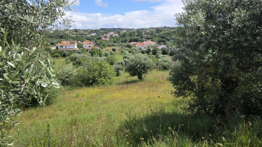 Terreno para Venda em Madalena e Beselga Foto 3