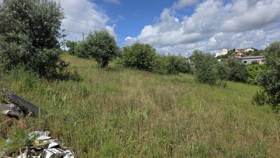 Terreno para Venda em Madalena e Beselga Foto 7